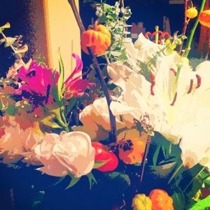 Meet your Posher, Rita